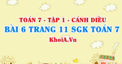 Bài 6 trang 11 SGK Toán 7 tập 1 Cánh Diều